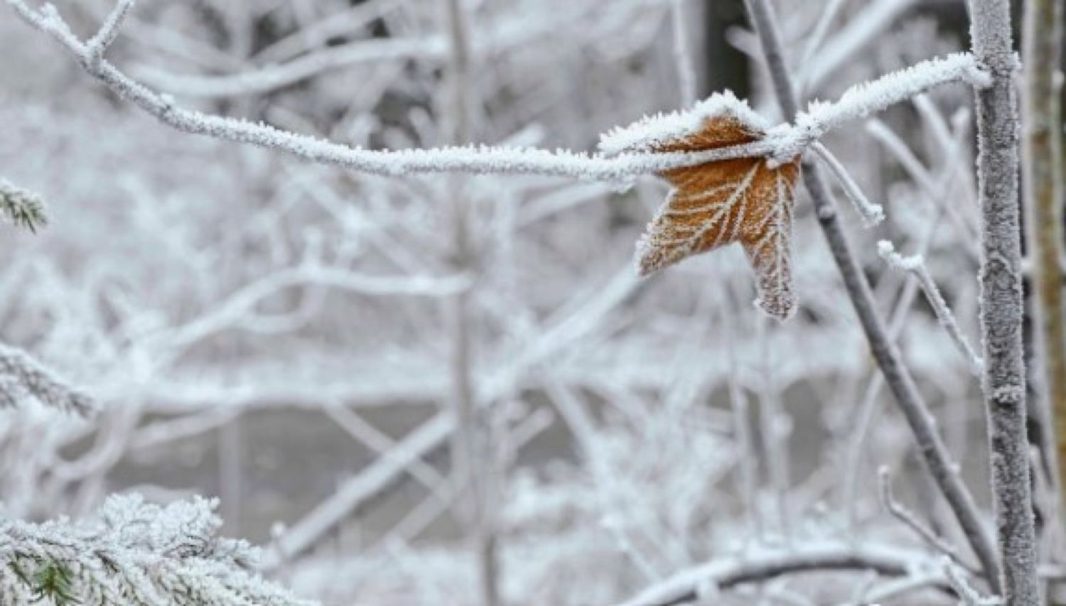 Meteorologii au dat ultimele informații. Se instalează gerul în România, unde va fi cel mai frig