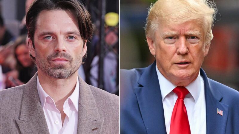 Primele consecințe ale alegerii lui Donald Trump. Actorul Sebastian Stan, probleme în carieră