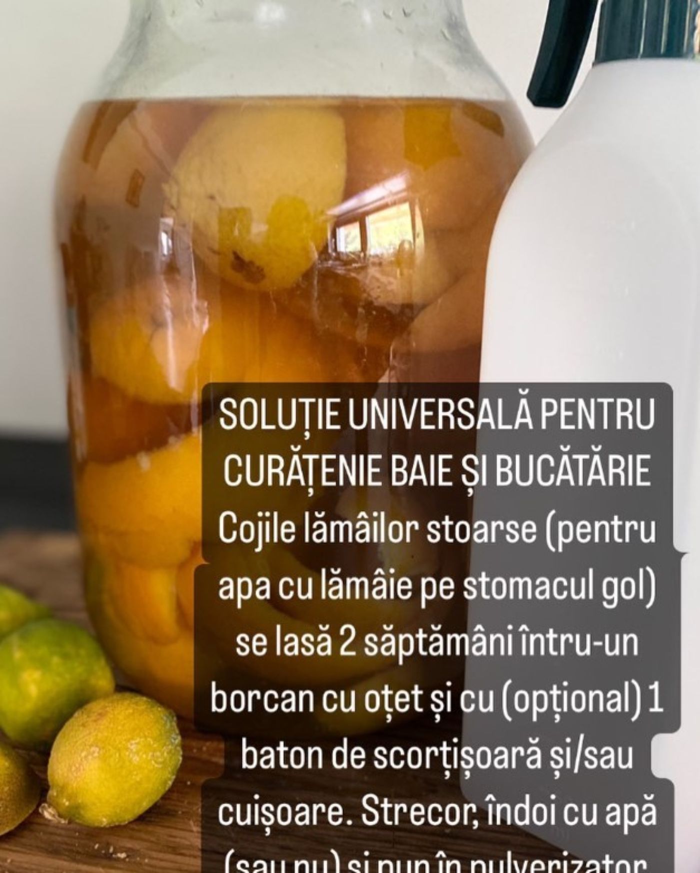 Soția lui Călin Georgescu, sfaturi pentru gospodine. Soluție naturală de dezinfectat casa, pentru curățenia de Sărbători