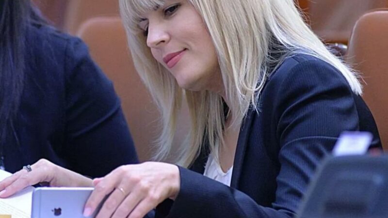 Elena Udrea și Adrian Alexandrov, mesaje de disperare. Sărbători foarte triste pentru fiica lor