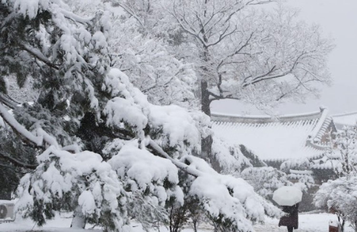 Se schimbă vremea. Vin ninsorile în București. Ce anunță meteorologii