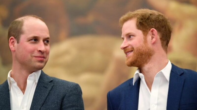 Mâncărurile preferate ale prințului Harry și prințului William, dezvăluite de un bucătar regal