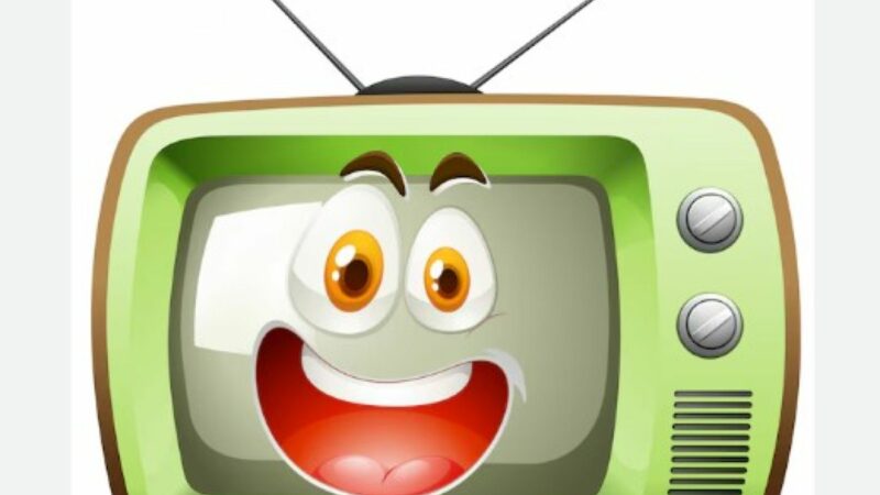 Electronistul o întreabă pe clientă: Cine a stricat televizorul? E genial răspunsul femeii