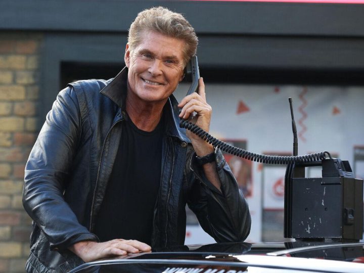 David Hasselhoff din Baywatch își împarte numele cu o serie de crustacee. Explicația stârnește hohote de râs
