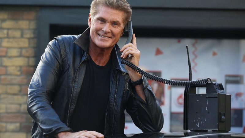 David Hasselhoff din Baywatch își împarte numele cu o serie de crustacee. Explicația stârnește hohote de râs