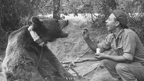 Povestea lui Wojtek, ursul sirian care a ajuns soldat. I-a ajutat pe polonezi să îi bată pe nemți în război. Foto