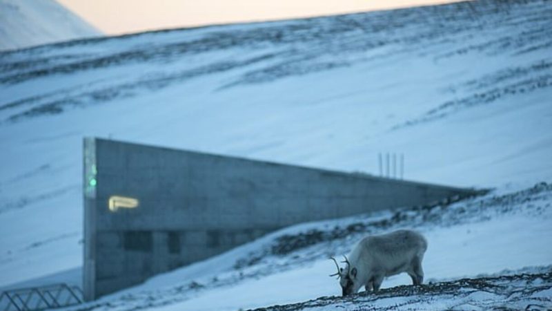 Buncărul ascuns din Arctica ce ar putea salva Pământul, în caz de dezastru. Arată ca în filmele cu James Bond. Foto