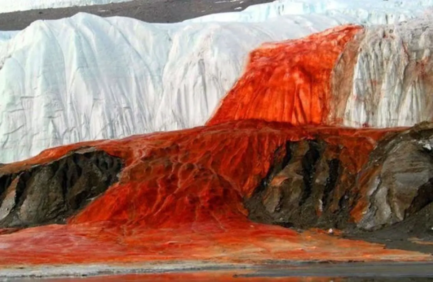 Povestea înfricoșătoarei Cascade a Sângelui din Antarctica. Ce spune un nou studiu