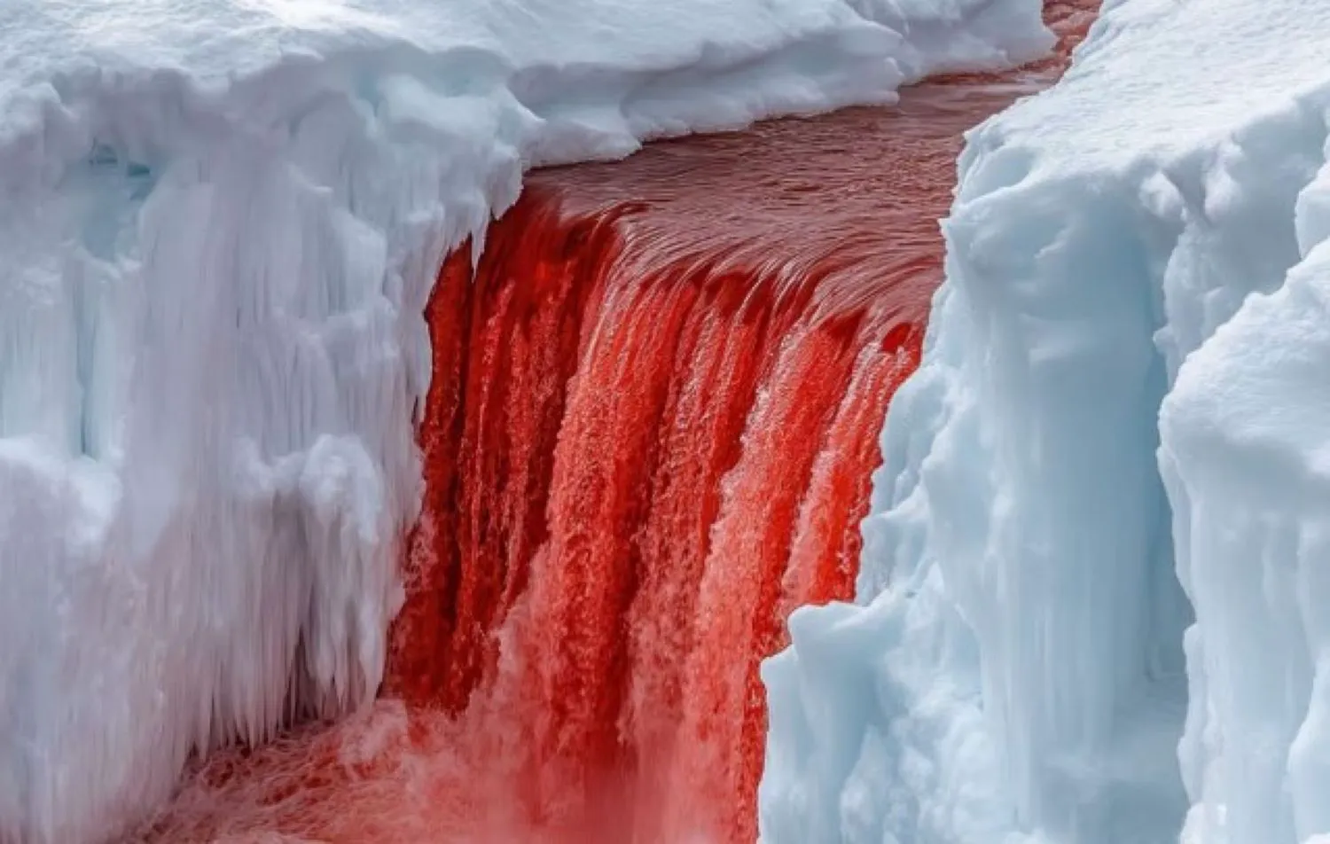 Povestea înfricoșătoarei Cascade a Sângelui din Antarctica. Ce spune un studiu recent 