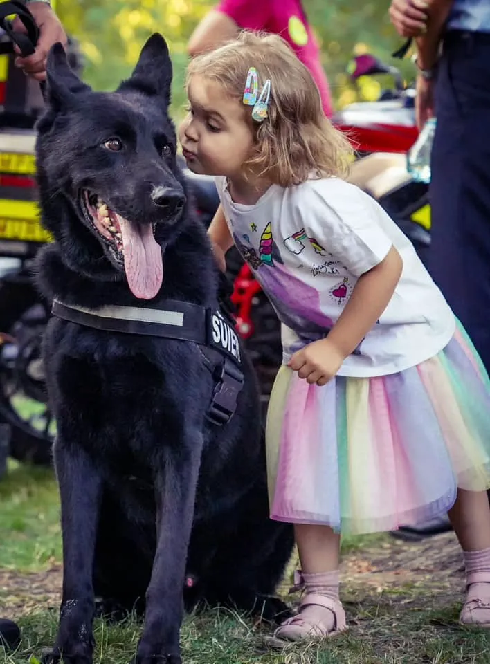 Povestea lui Șuier, cel mai cunoscut câine polițist din România. A ajuns legendă dintr-o greșeală 