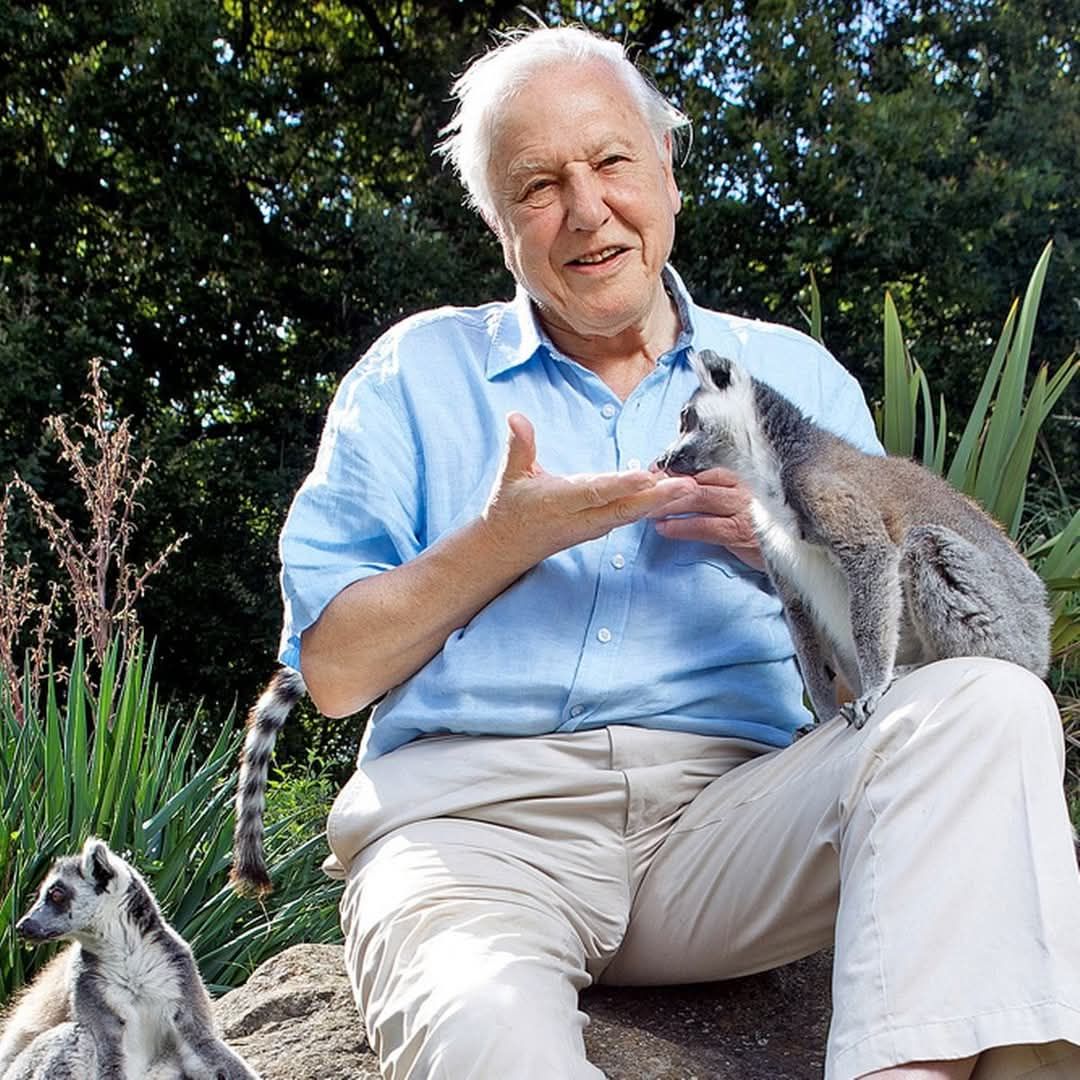 Legendarul Sir David Attenborough, vocea documentarelor, și-a anunțat sfârșitul. Mărturii emoționante 