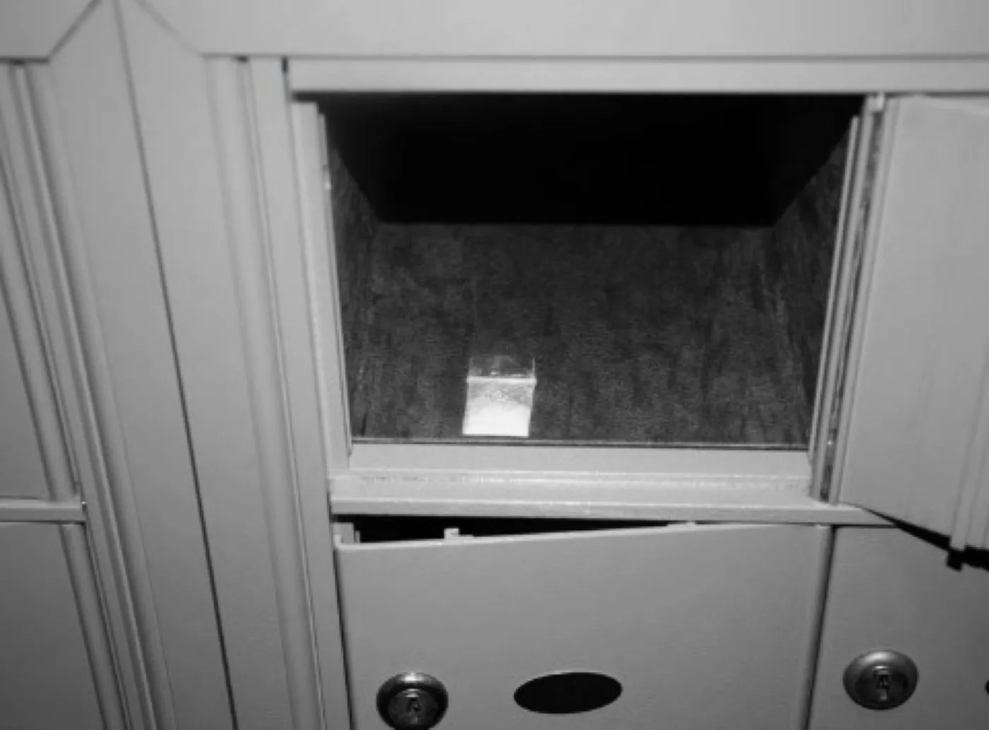 FBI-ul a redeschis ancheta în cazul plicului cu cocaină găsit la Casa Albă 