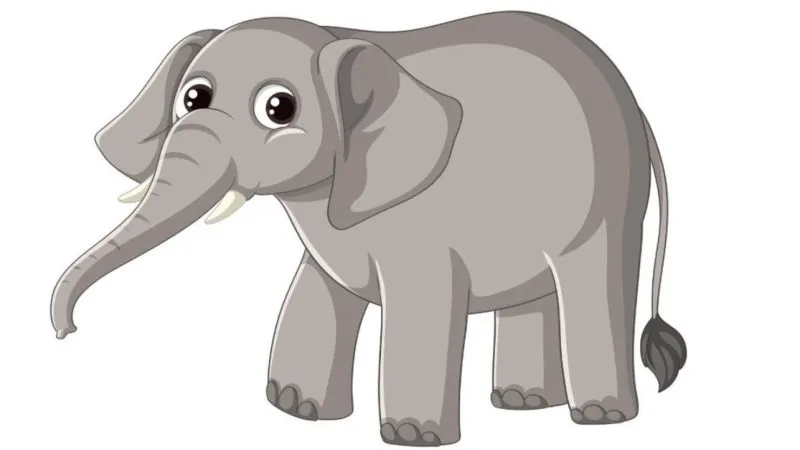 Care este diferența dintre un elefant de 14 ani și un șoarece de 6 luni? Leșini de râs