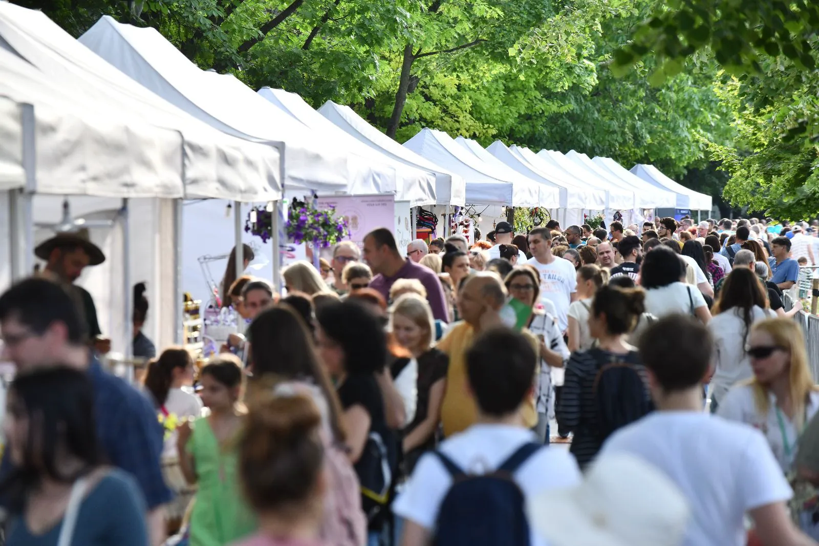 Începe West Side Flower Fest, cel mai mare festival al florilor din România, ediția a treia. Amenajări gigant din flori și plante