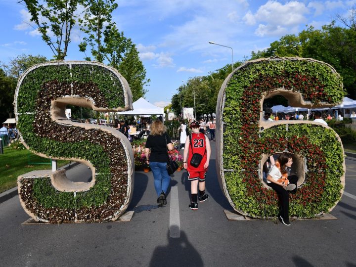 Începe West Side Flower Fest, cel mai mare festival al florilor din România, ediția a treia. Amenajări gigant din flori și plante