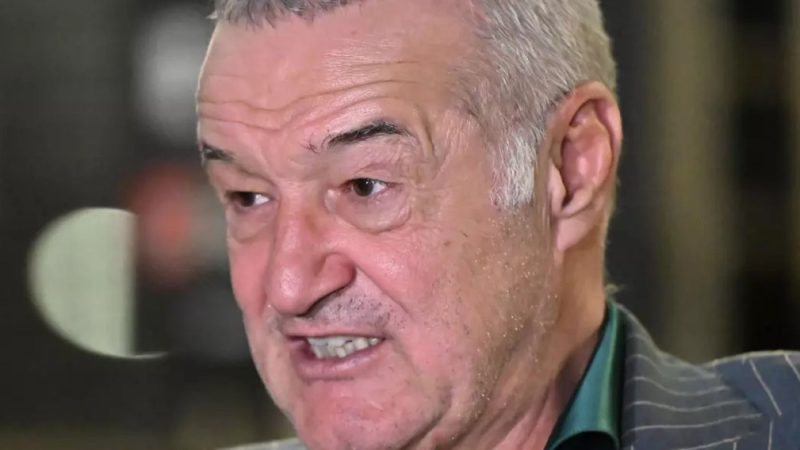 Probleme cu banii la Gigi Becali în familie. S-a cerut insolvența