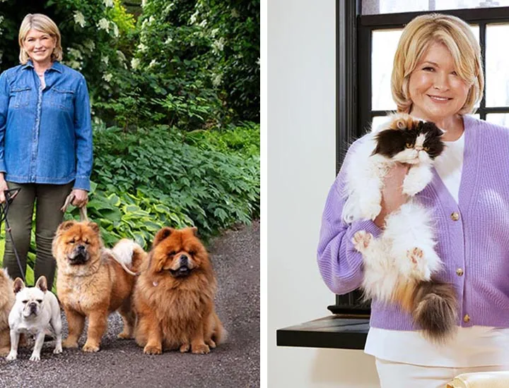 Martha Stewart pare că și-a pierdut mințile. Gestul pe care îl face cu animalele ei de companie stârnește revoltă