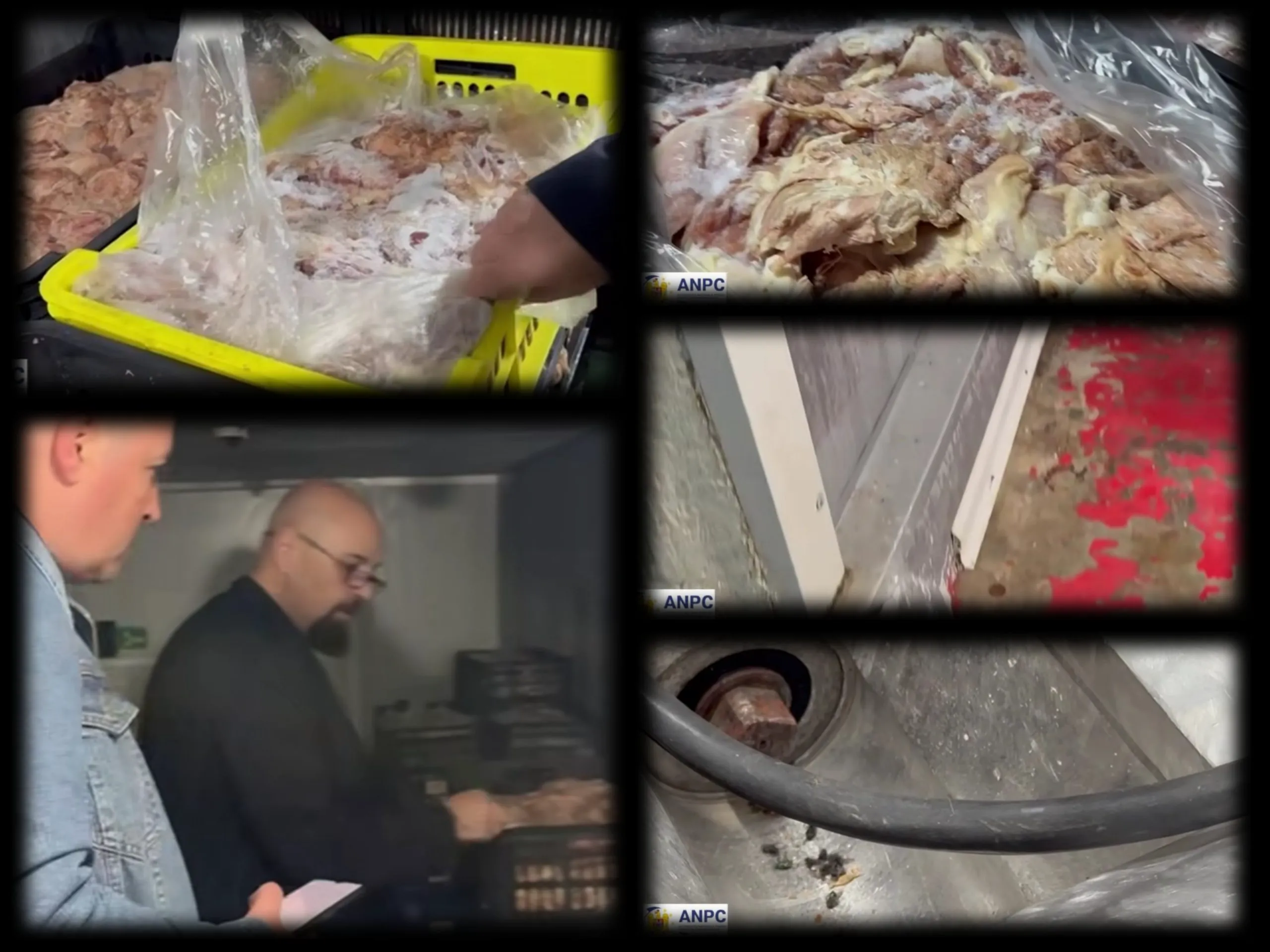 Piedone a găsit insecte congelate în frigiderele cu carne. Unde s-a petrecut grozăvia mai era ceva inedit