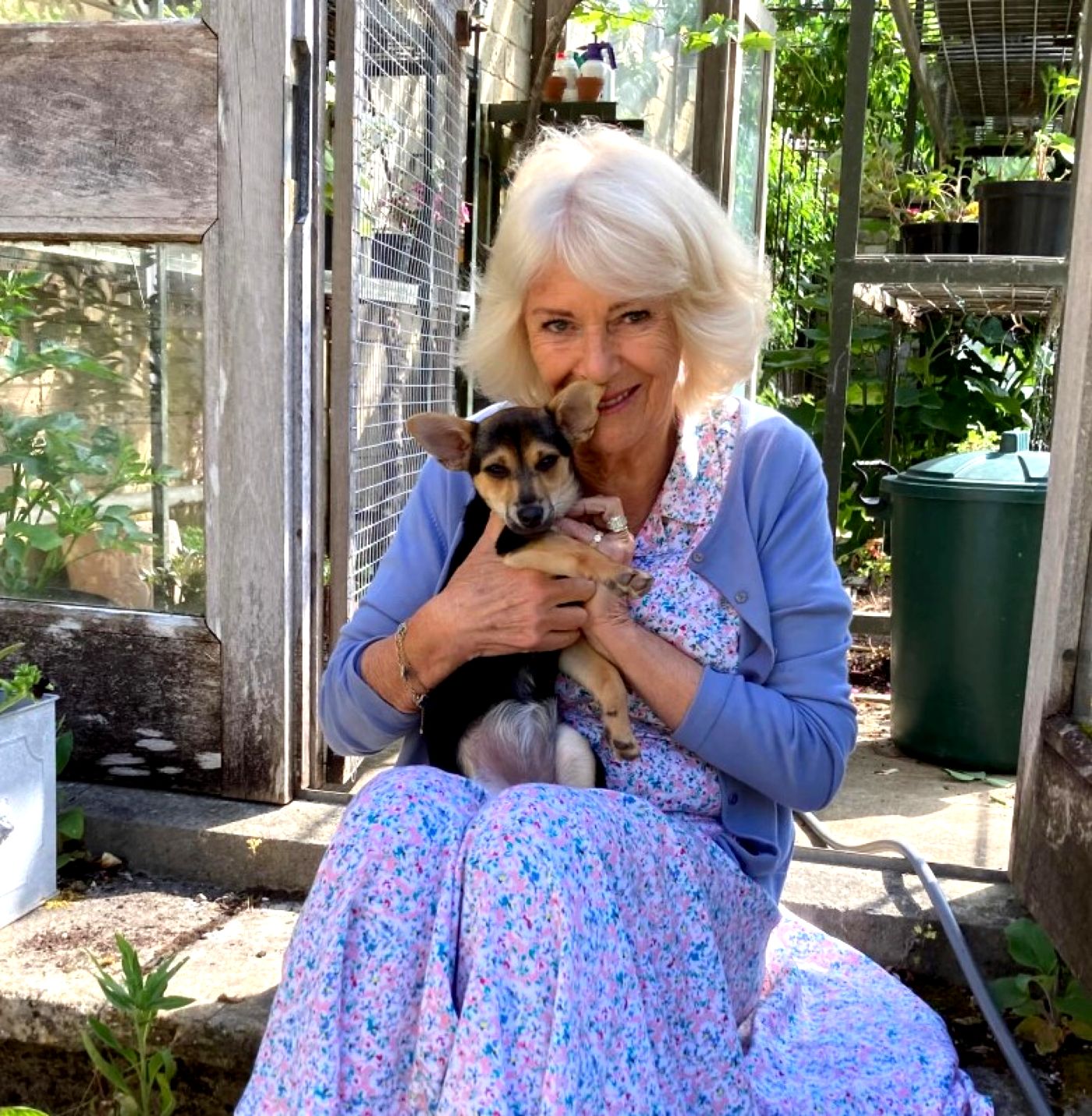 Prima fotografie cu Moley, cățelușa reginei Camilla. La doar trei luni, micuța e adorabilă