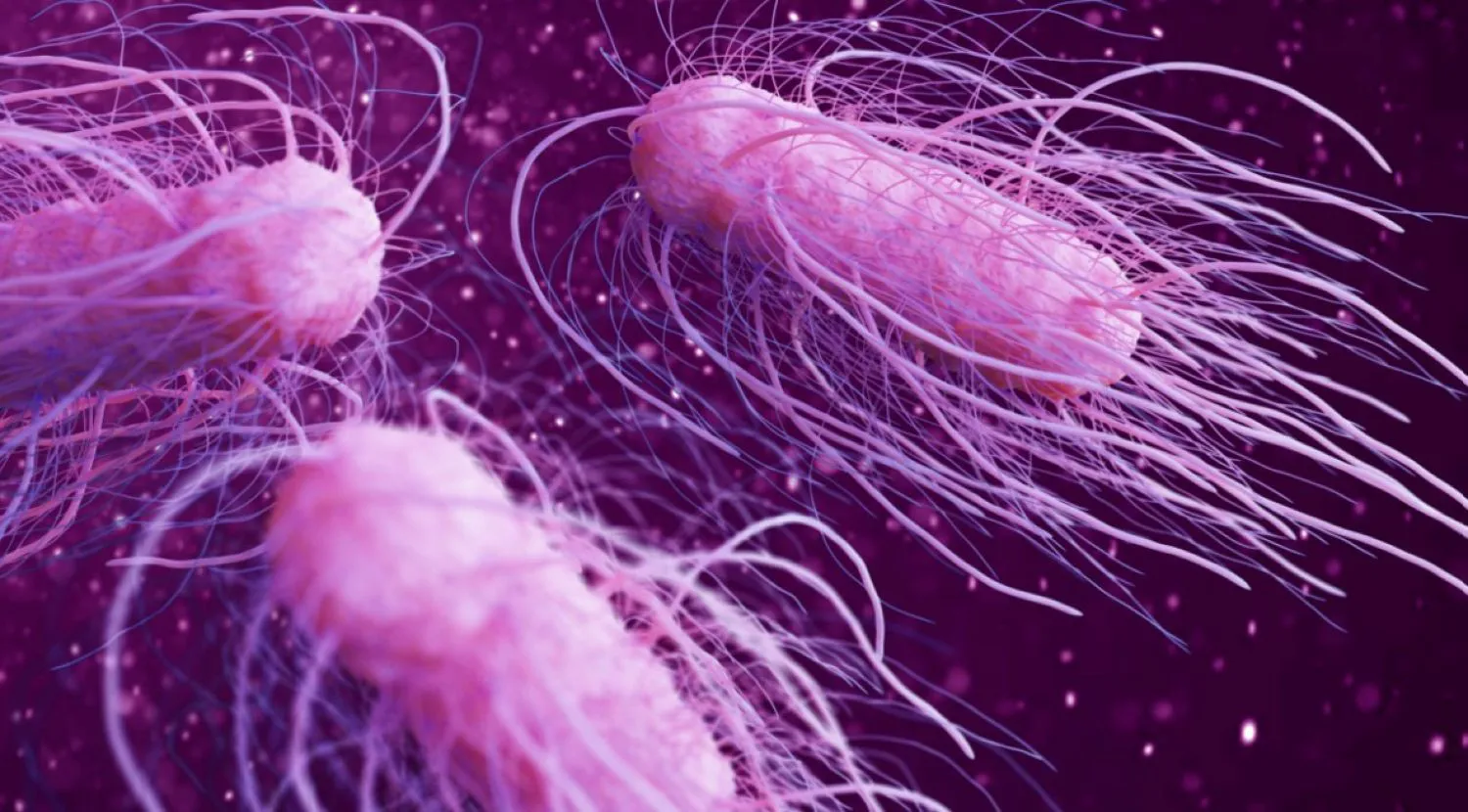 Produs retras de la Lidl. A fost găsit cu Salmonella
