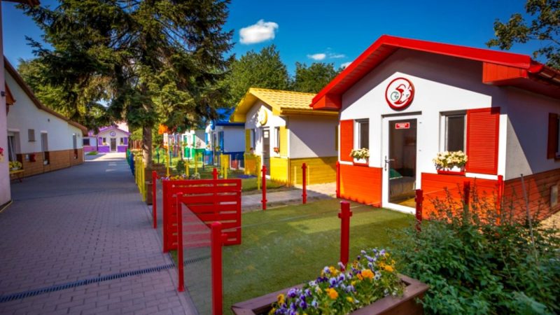 Satul câinilor, model pentru adăposturile din întreaga lume. Au un confort uimitor