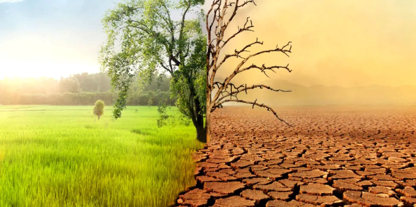 Schimbările climatice amenință sănătatea ochilor. Ce spun oamenii de știință