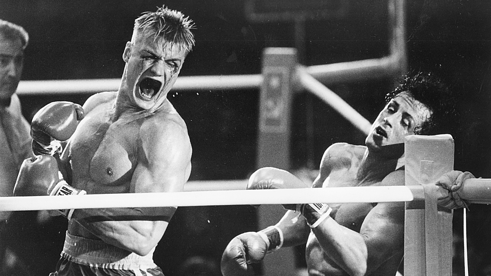 Sylvester Stallone își declară gelozia față de colegul din Rocky, actorul Dolph Lundgren. Una dintre scenele filmate s-a terminat cu spitalizare
