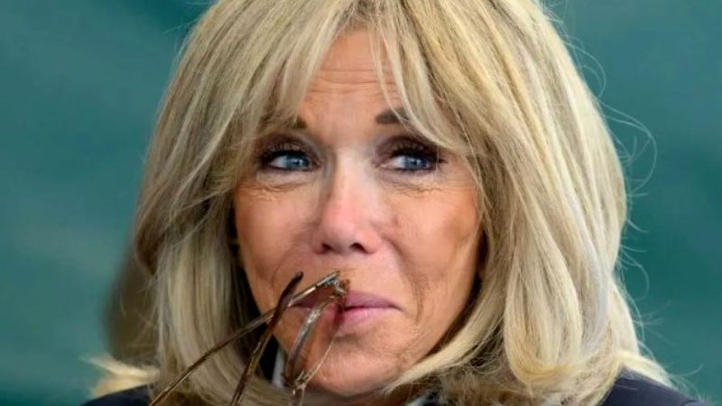 Fiica lui Brigitte Macron a recunoscut că e rănită de „relația interzisă” dintre mama sa și președintele Franței. „Am învățat multe despre natura umană atunci”