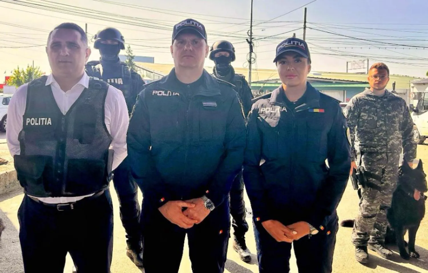 Câinele Dac, eroul necuvântător care l-a prins pe criminalul Teodorei Marcu, tânăra ucisă cu bestialitate