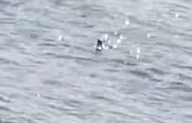 Monstrul din Loch Ness, surprins din nou în imagini. Martorii spun că e a doua oară în câteva luni. Foto 