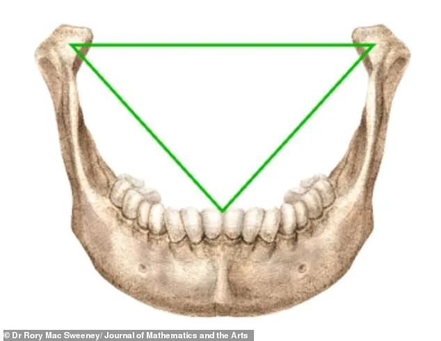 Un dentist spune că a descoperit secretul unui desen celebru. Cheia, între picioarele „Omului Vitruvian” 