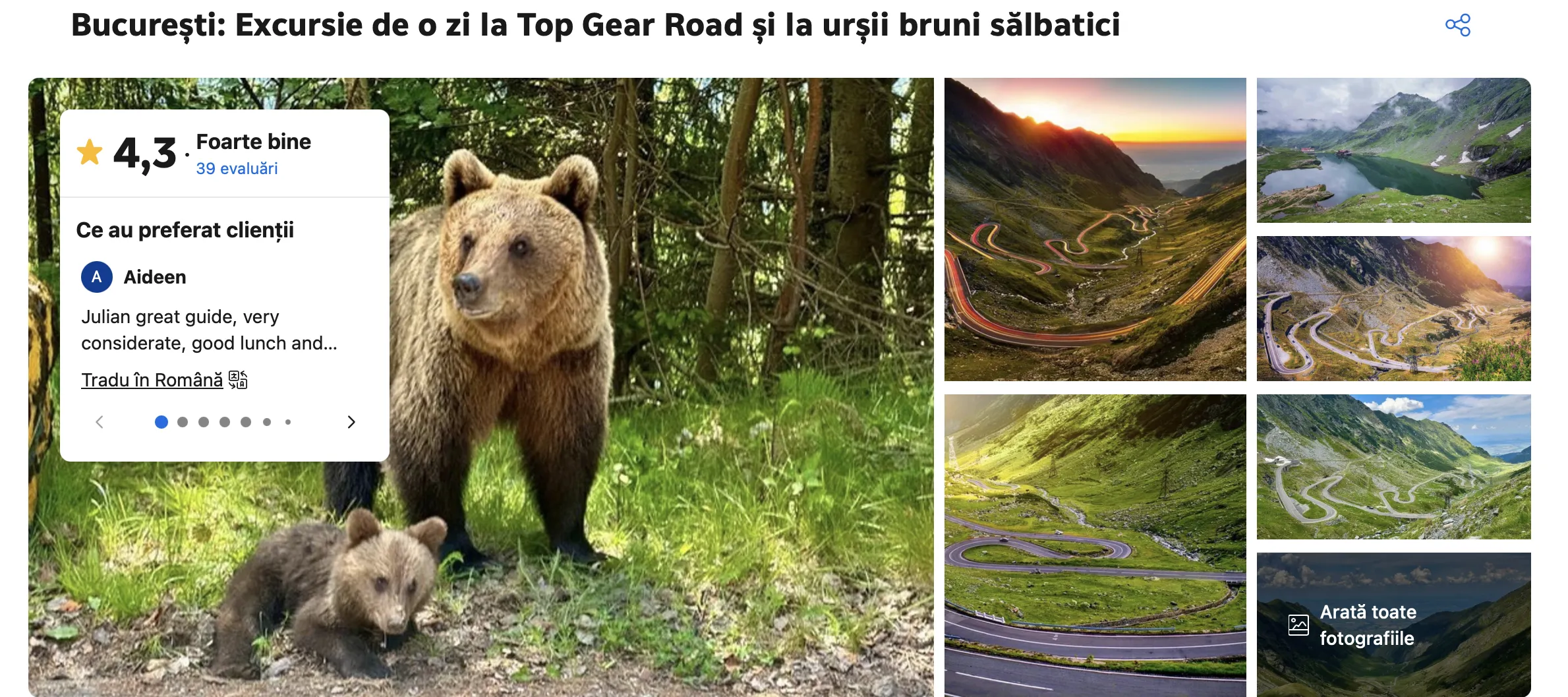 Situație revoltătoare! O companie vinde excursii pe Transfăgărășan „la urșii bruni sălbatici” 