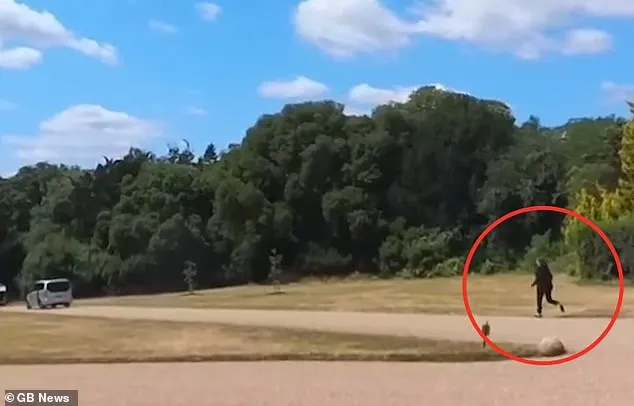 Scenă de „cascadorii râsului” cu bagajele lui Macron la Palatul Windsor