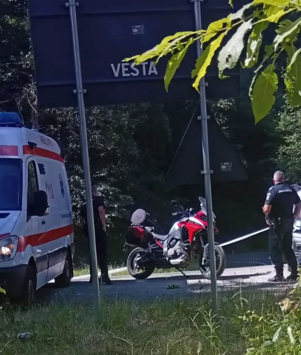 Victor Cornea și Andreea Bălan, întâlnire șocantă cu ursul la Brașov. Au avut noroc, fiindcă există mai multe victime!