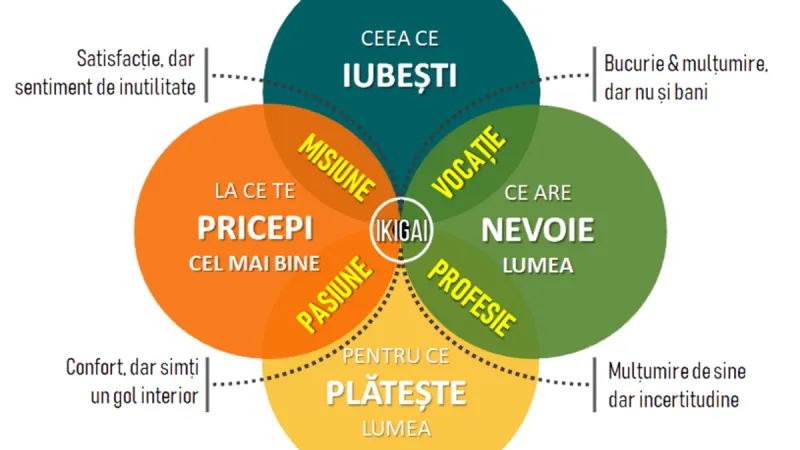 Test genial! Găsește-ți sensul vieții în doar 4 pași, după modelul japonez Ikigai