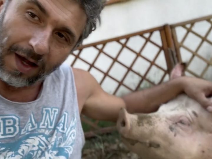 Dragoș Bucur și bucuriile sale la țară: are o scroafă care latră – Video