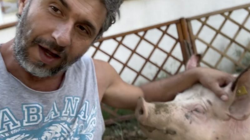 Dragoș Bucur și bucuriile sale la țară: are o scroafă care latră – Video