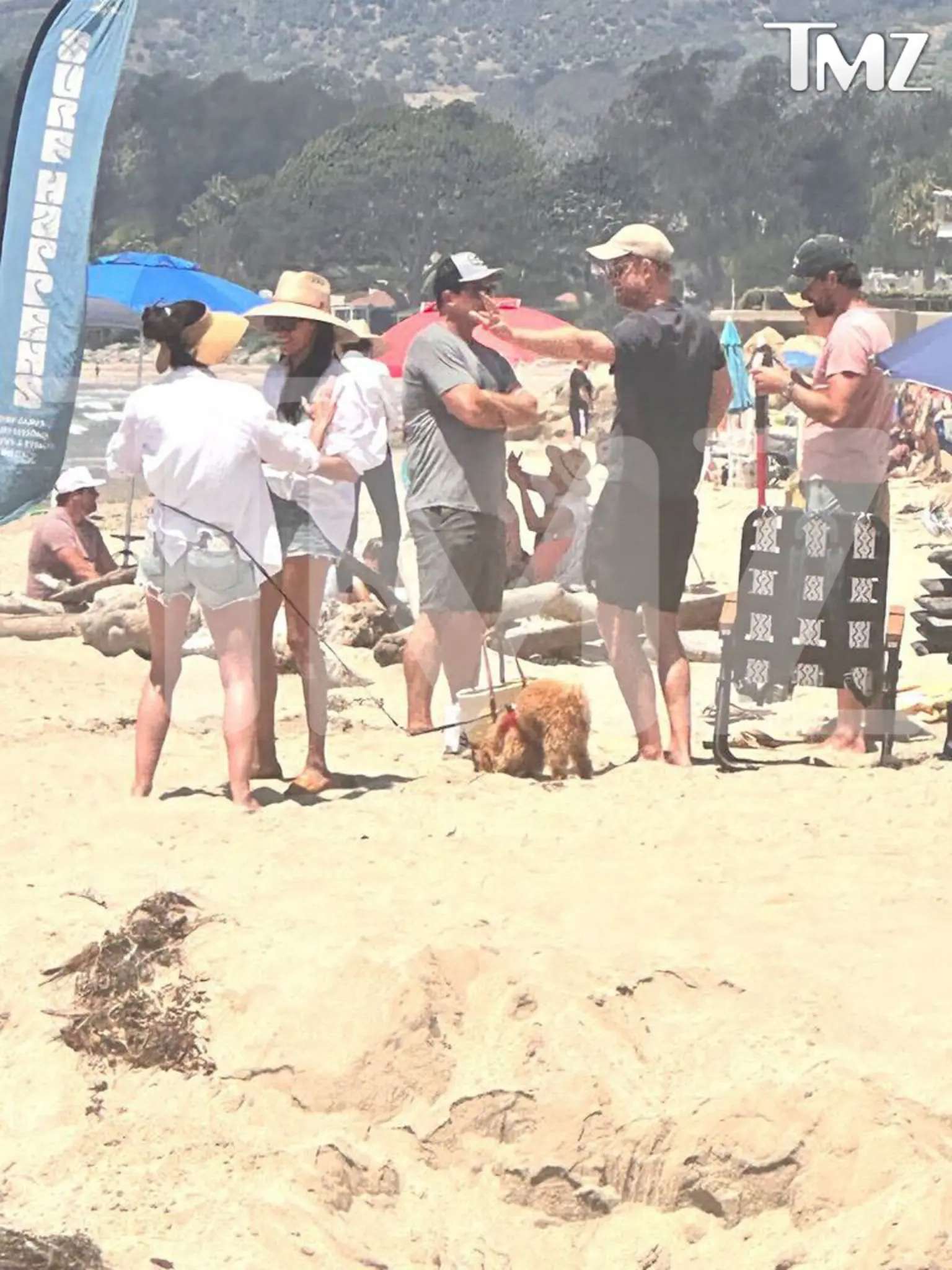 După ce s-a spus că el și Prințul Andrew și-au împărțit pumni, Prințul Harry și-a scos familia la plajă. Paparazzi au surprins totul