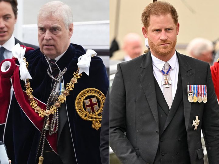 După ce s-a spus că el și Prințul Andrew și-au împărțit pumni, Prințul Harry și-a scos familia la plajă. Paparazzi au surprins totul