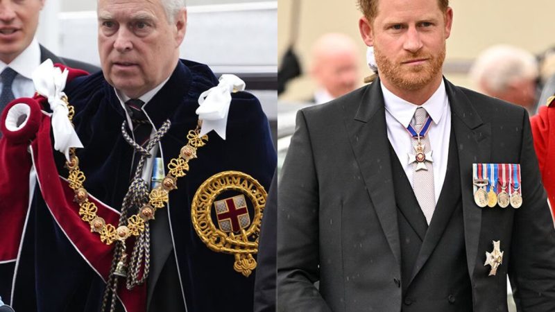 După ce s-a spus că el și Prințul Andrew și-au împărțit pumni, Prințul Harry și-a scos familia la plajă. Paparazzi au surprins totul