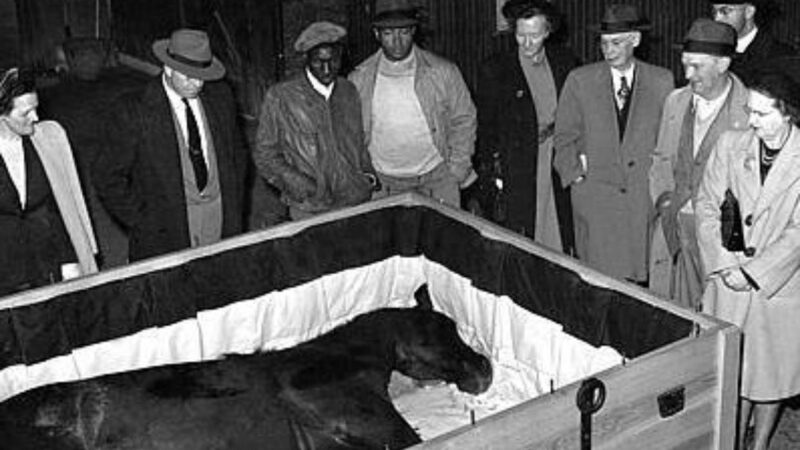 Ziua în care America a plâns un cal: funeraliile impresionante ale lui Man o’ War