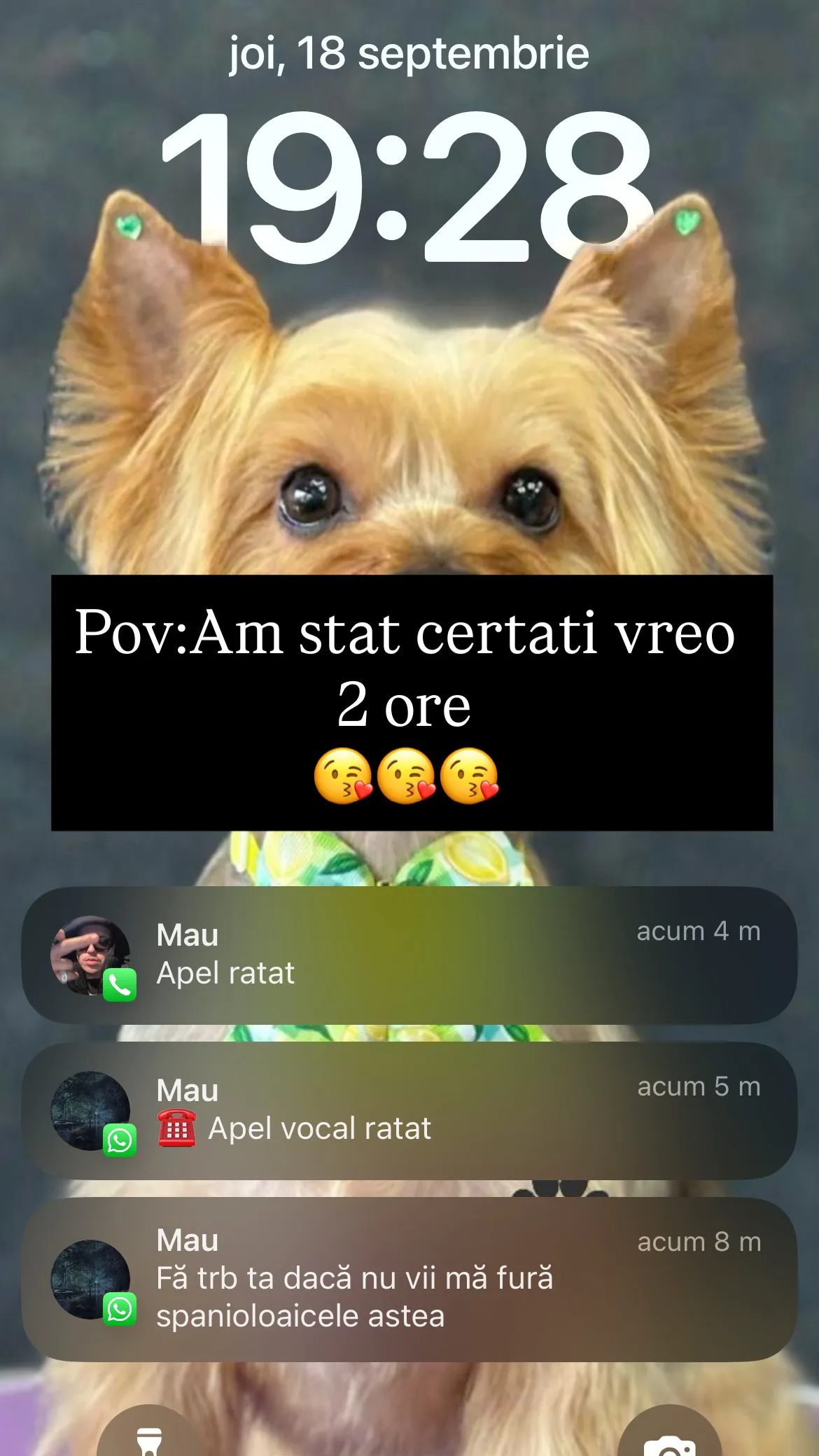 Erika Isac publică mesajele primite de la iubitul MGL după ceartă: „Fă, treaba ta…” 