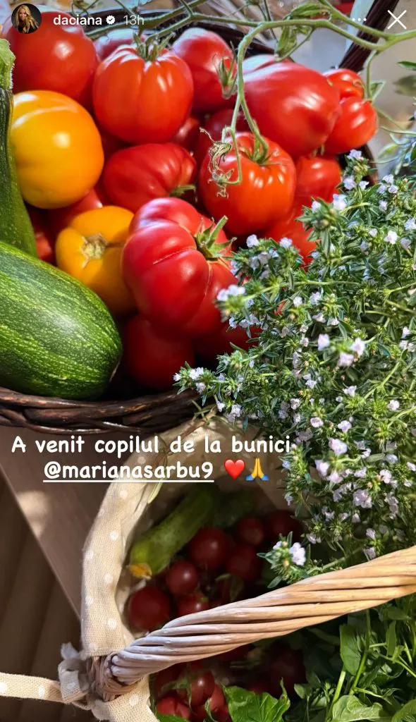 Daciana Sârbu, răsfățată de părinți. Fostul ministru are grijă și acum de ea