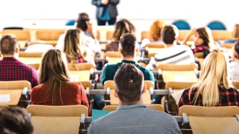 Șeful CNA a descoperit „cuiburi în online”. Cere educarea elevilor printr-o nouă materie. Ce spune președintele