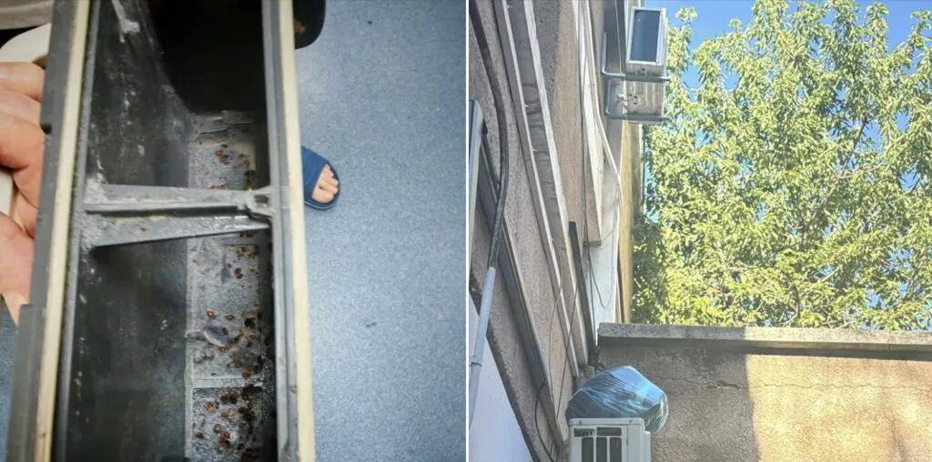Uniforma unui polițist, plină de sânge, plimbată printre cetățeni. Agentul a fost bătut cu bestialitate – Foto