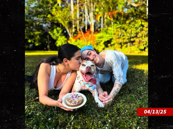 Fiica Gloriei Estefan și iubita lesbiană, scandal cu bătaie. A fost nevoie de intervenția poliției