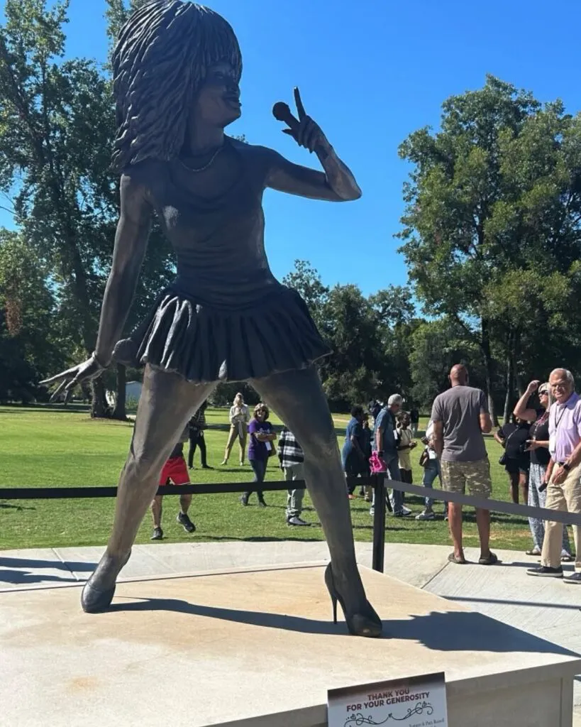 Tina Turner se răsucește-n mormânt. Fanii cred că statuia a fost comandată pe Temu