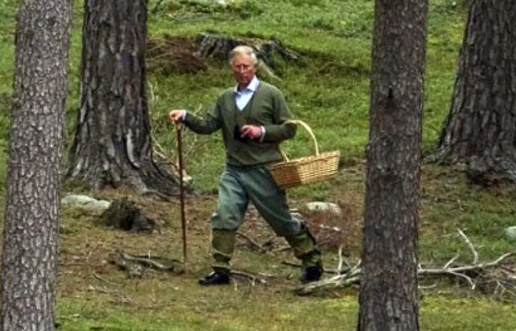 Obsesia regelui Charles și a reginei Camilla. Suveranul s-a dedicat acestui hobby chiar și în ziua în care a murit regina Elisabeta
