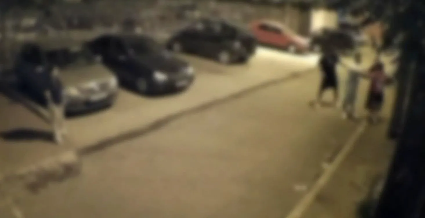 Fiul lui Sile Cămătaru, filmat cum își rupe în bătaie copilul de 12 ani în plină stradă. Băiatul a fost salvat de vecini
