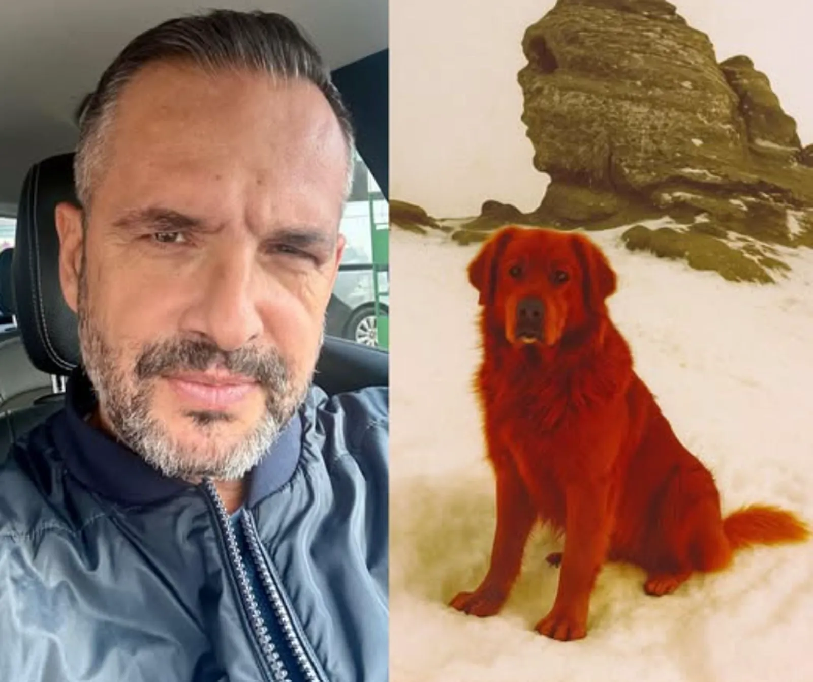 Misterul câinelui roșu din Bucegi. O poveste tulburătoare trăită de jurnalistul Mădălin Ionescu